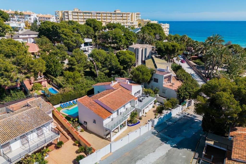Entire Large Next To Award-winning * Campoamor